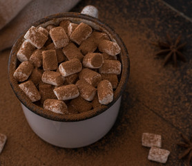 cup of cacao with marshmallow and cinnamon