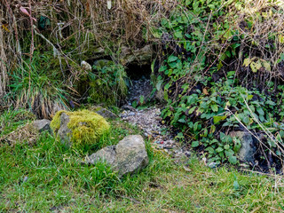 One of the beginning springs of the River Kennet at it's source at Swallowhead Spring near Avebury, Wiltshire, UK
