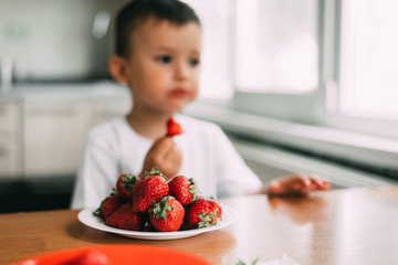 charming child in white t-shirt eating fresh homemade strawberries