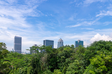 Singapore Nature and Buildings
