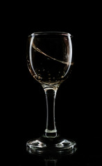 glass of white wine