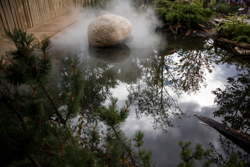 Large boulder decorates artificial pond in the garden