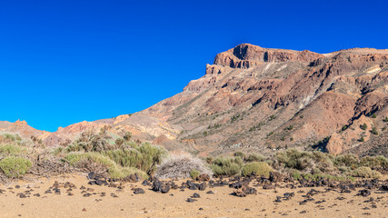 Rocks in the rocky desert