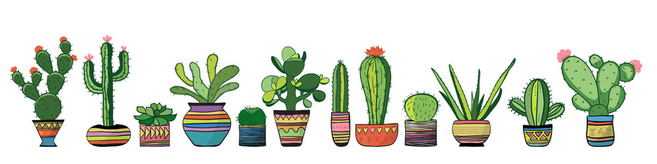 Cozy cacti set. Vector