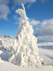Karkonosze - G&oacute;ry Sudety