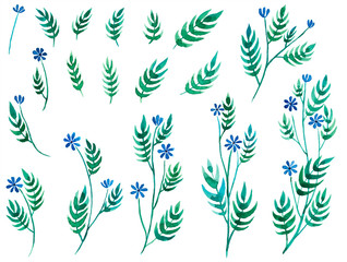 Set of wild flowers watercolor decorative elements isolated