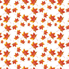 Autumn maple leaf pattern on white background.