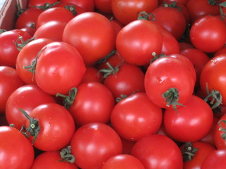 tomatoes