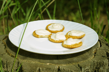 Thin crispy crackers with cream cheese on a white plate on a sunny morning in the woods on a stump. Picnic in nature.