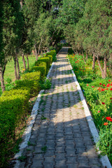 Walking path in park and near