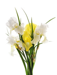 Bouquet of irises.
