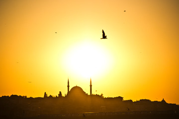 Viaje a Estambul (Turquia) en 2018. Visita a Torra Galata, Santa Sofia, Mezquita Azul, Sulemaniye..