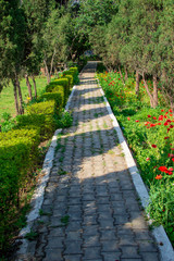 Walking path in park with green trees