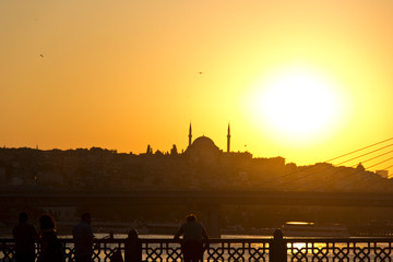 Viaje a Estambul (Turquia) en 2018. Visita a Torra Galata, Santa Sofia, Mezquita Azul, Sulemaniye..