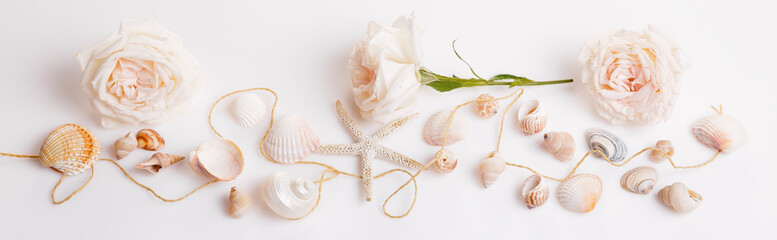 Banner summer background with white seashell and starfish on white.