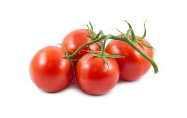 The branch of tomatoes is isolated on a white background