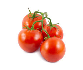 The branch of tomatoes is isolated on a white background