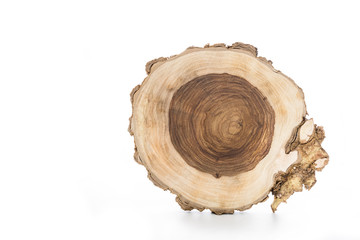 Intertwined annual rings on a perennial tree