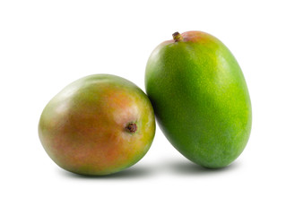 two mango isolated on a white background