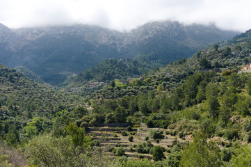 Naklejka na ściany i meble Beautiful village in Mallorca Deia