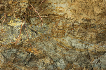 Layers of sedimentary rock formed on the earth's surface. Outcrops on the southern coast of the Azov sea. Taman Peninsula, Temryuk district, Krasnodar region, Russia