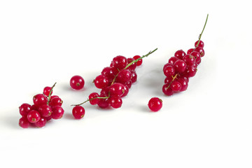 Three branches of red currant on white background.