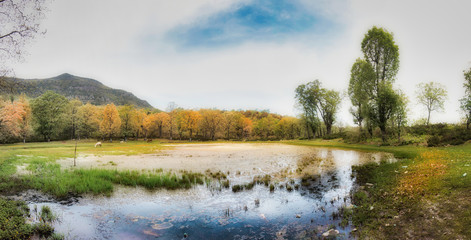 Fototapete bei efototapeten.de bestellen   