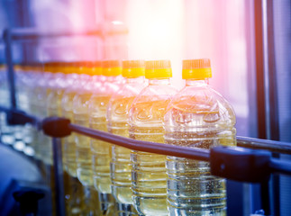 Bottling line of sunflower oil in bottles. Vegetable oil production plant. High technology.