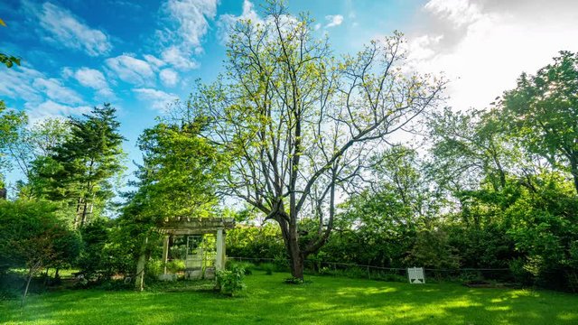 Walnut Tree and Pergola Time Lapse