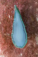 Deurstickers piece of geological agate stone, texture of semi-precious stone © serikbaib