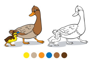 Coloring book. Mother duck and duckling.