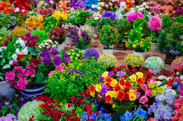 Plastic flowers on sale at a shop