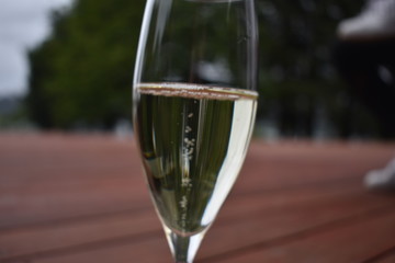 Glass with Bubbles 2