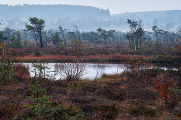 NSG „Schwarzes Moor