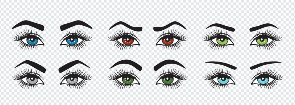 Set of eyebrows with colored eyes shapes. Vector