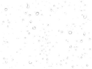 Vector rain water drops on white background. Pure realistic droplets condensed.  - obrazy, fototapety, plakaty