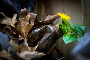plastic with flower