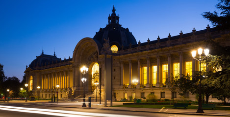 Naklejka premium Night view of famous Petit Palais