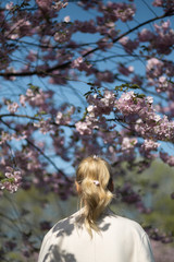 Beautiful blonde young woman in Sakura Cherry Blossom park in Spring enjoying nature and free time during her traveling tourist free time - Wearing white pants and t-shirt with a beige jacket