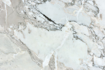 Real natural " Marble Arabescato Vagli " texture pattern.