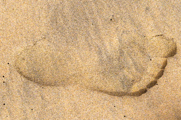 Fototapeta na wymiar Footprint of a person on wet sand
