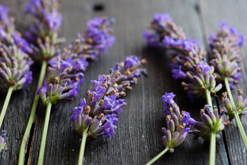 purple lavender flowers on black wooden table background