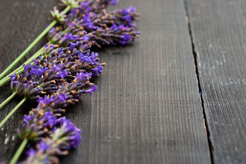 purple lavender flowers on black wooden table background