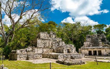 Fototapeta na wymiar Ancient Mayan Pyramid at Muyil in Quintana Roo, Mexico