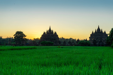 Obraz premium the view of the sunrise in a village with a plaosan buddhist temple background in Yogyakarta, Indonesia