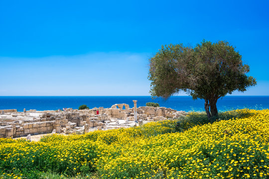 Achilles' House Kourio Basilica at The Sanctuary of Apollo at the Kourion World Heritage Archaeological site near Limassol (Lemesos), Cyprus
