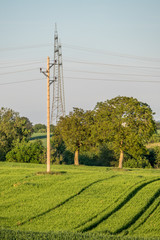Obraz premium Strommasten im Feld