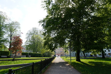 Fototapeta premium path in the park in city