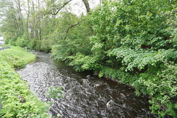freshwater stream