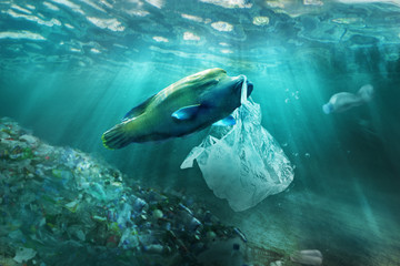 Plastic pollution in ocean environmental problem. Fish can eat plastic bags.